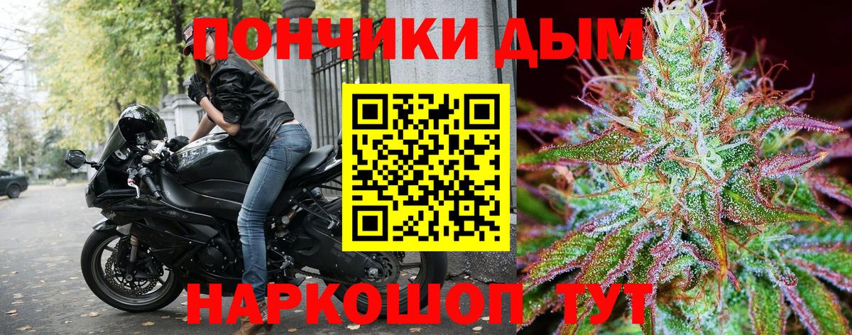 Бошки Шишки AK-47  Бошки Шишки OG Kush  Бошки марихуана семена  Донецк  Вход с VPN 
